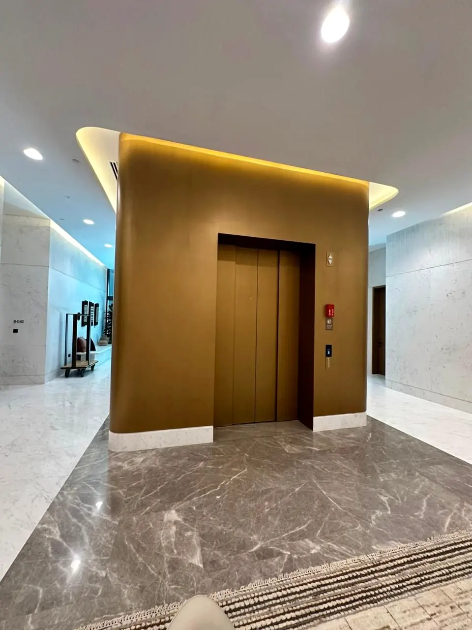 Lift lobby with curved bronze-finish wall cladding and cove lighting